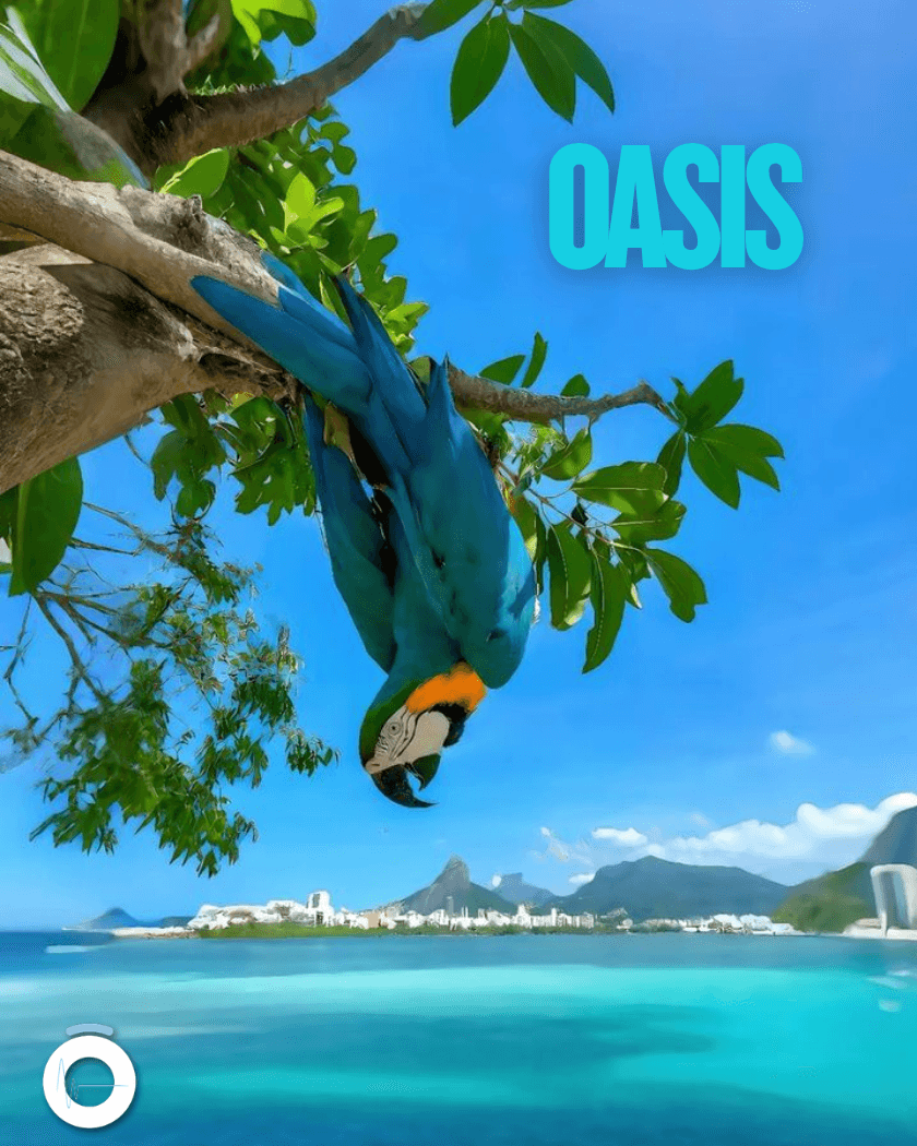 Oasis - Hilo musical libre de derechos para negocios Playlist de hilo musical sin SGAE: Oasis - Ondeón